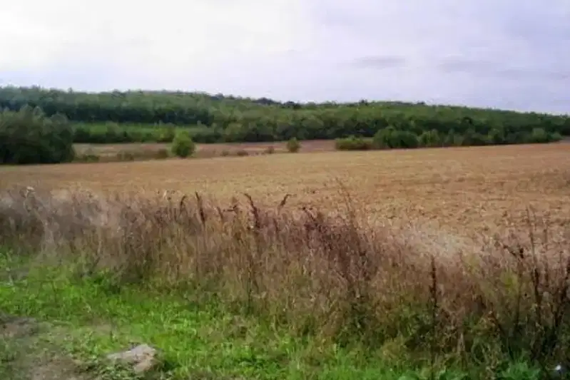 Plot in Oblast Veliko Tyrnovo, Kilifarevo