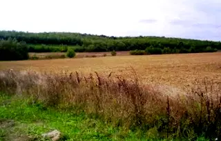 Парцел във Велико Търново, Килифарево