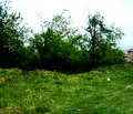 Снимка 5 — Парцел във Велико Търново, Лясковец