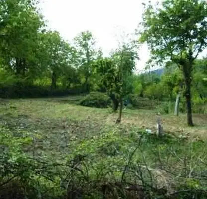 Photo 5 — Plot in Veliko Tyrnovo, Lyaskovec