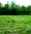 Парцел във Велико Търново, Лясковец