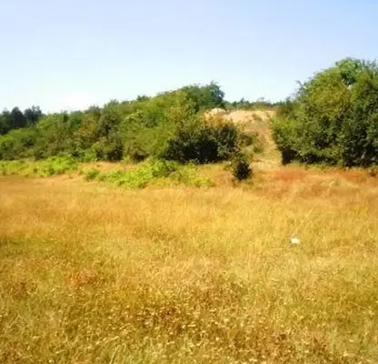 Photo 3 — Plot in Oblast Veliko Tyrnovo, Malki Chiflik