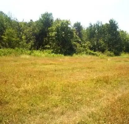 Photo 4 — Plot in Oblast Veliko Tyrnovo, Malki Chiflik