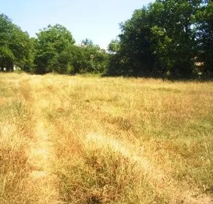 Photo 5 — Plot in Oblast Veliko Tyrnovo, Malki Chiflik
