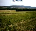 Снимка 2 — Парцел във Велико Търново, с. Малки чифлик