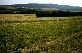 Парцел във Велико Търново, с. Малки чифлик