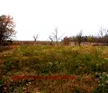 Снимка 5 — Парцел във Велико Търново, с. Паскалевец