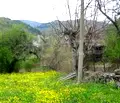 Снимка 4 — Парцел във Велико Търново, с. Радковци