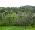 Снимка 5 — Парцел във Велико Търново, с. Радковци