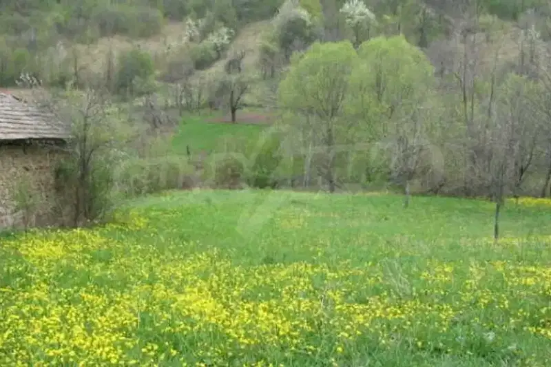 Plot in Oblast Veliko Tyrnovo, с. Радковци