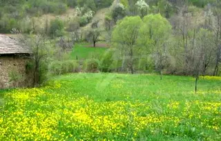 Парцел във Велико Търново, с. Радковци