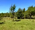 Снимка 2 — Парцел във Велико Търново, с. Войнежа