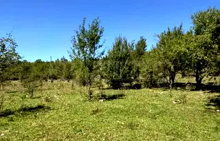 Парцел във Велико Търново, с. Войнежа