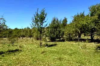 Парцел във Велико Търново, с. Войнежа
