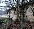 Снимка 4 — Промишлена сграда в Плевен, с. Върбица