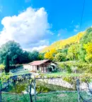 Заведение в София, с. Марица