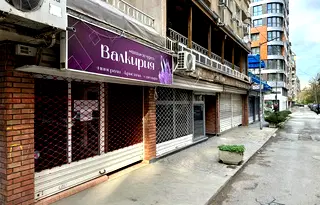 Магазин в София, Борово