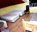 Снимка 5 — Стая в София, Елин Пелин