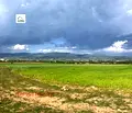 Снимка 3 — Парцел в Благоевград, Гоце Делчев