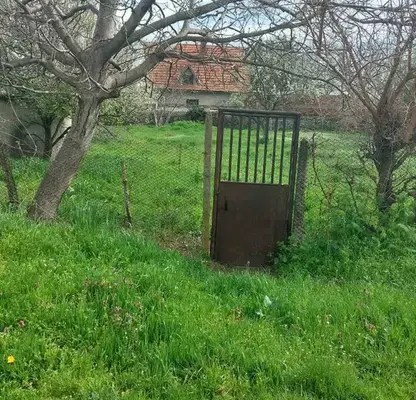 Photo 4 — Plot in Oblast Stara Zagora, Oryahovica