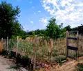 Снимка 4 — Парцел във Варна, м-т Боровец - юг