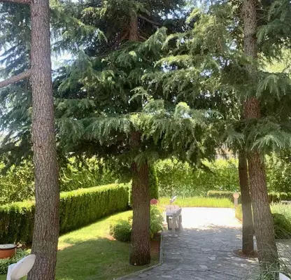 Photo 2 — 2-bedroom apartment in Varna, Briz