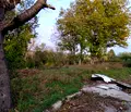 Снимка 5 — Промишлена сграда в Русе, с. Писанец