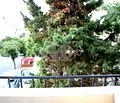 Снимка 4 — Тристаен апартамент във Варна, Център