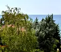 Снимка 5 — Двустаен апартамент в Бургас, Свети Влас