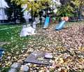 Снимка 3 — Едностаен апартамент в София, Орландовци