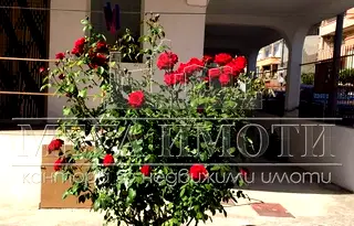 Хотел в Бургас, Приморско