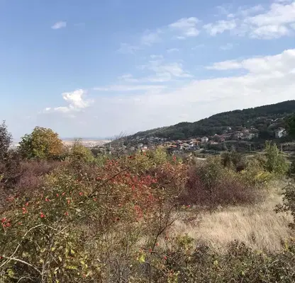 Photo 3 — Agricultural Land in Oblast Plovdiv, Асенов