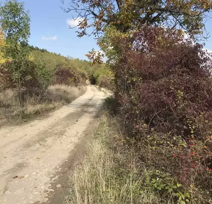 Photo 4 — Agricultural Land in Oblast Plovdiv, Асенов
