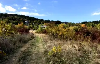 Земеделски имот в Пловдив, Асенов