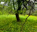 Снимка 2 — Къща в Габрово, Севлиево