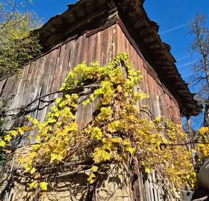 Снимка 2 — Къща в Габрово, с. Кръвеник