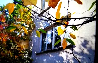 Къща в Хасково, Ивайлов