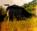 Снимка 2 — Къща в Ловеч, с. Скандалото