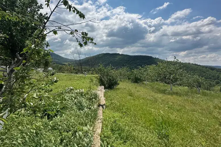 Къща в Пазарджик, с. Сребриново
