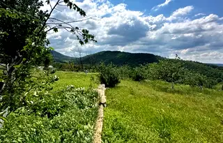 Къща в Пазарджик, с. Сребриново