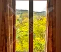 Снимка 4 — Къща в Пловдив, с. Свежен