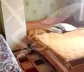 Снимка 4 — Къща в Пловдив, с. Яврово
