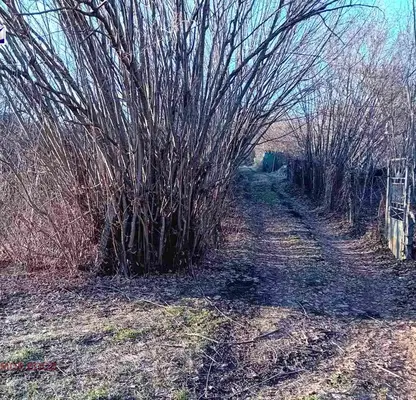 Снимка 4 — Къща в Русе, с. Николово