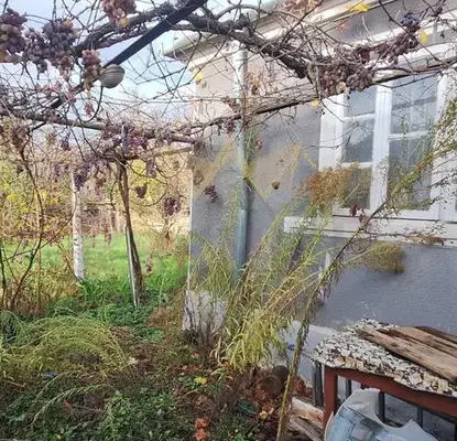 Photo 5 — House in Varna, Ignatievo