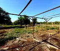 Снимка 2 — Къща във Велико Търново, с. Поликраище