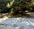 Снимка 3 — Земеделски имот в Пазарджик, Батак