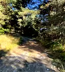 Земеделски имот в Пазарджик, Батак