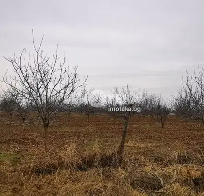 Photo 2 — Agricultural Land in Oblast Plovdiv, Cheshnegirovo