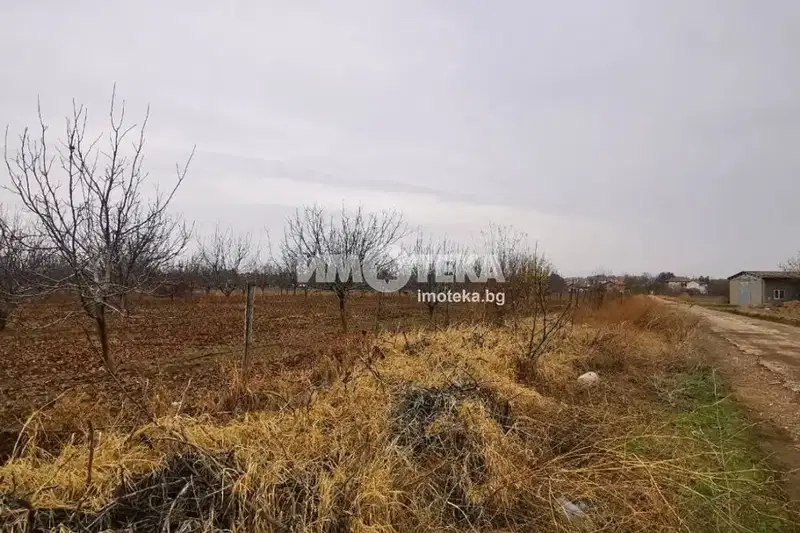 Agricultural Land in Oblast Plovdiv, Cheshnegirovo