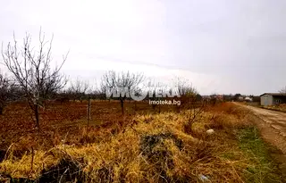 Земеделски имот в Пловдив, с. Чешнегирово